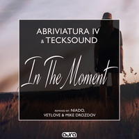 Abriviatura IV, TeckSound - In the Moment