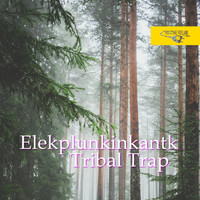 Elekplunkinkantk - Tribal Trap