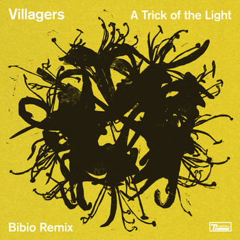 VILLAGERS - A Trick of the Light (Bibio Remix)