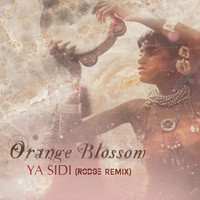 Orange Blossom - Ya Sidi (Rodge Remix)