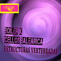 Boiler K, Cellos Balearica - Estructuras Vertebradas