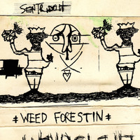 Sentridoh - Weed Forestin'