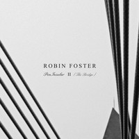 Robin Foster - Peninsular II (The bridge)