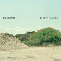 Lightning Seeds - Four Winds