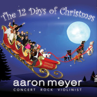 Aaron Meyer - The 12 Days of Christmas