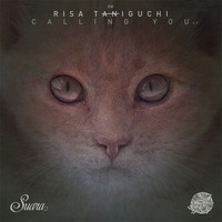 Risa Taniguchi - Calling You