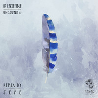 ID Ensemble - Unsound EP