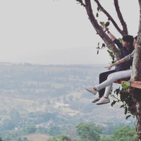 Jonathan Prasetyo - Setia Kasih