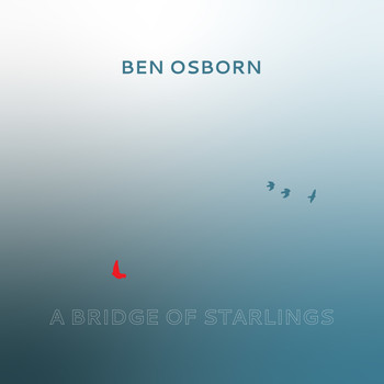 Ben Osborn - A Bridge of Starlings