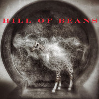 Hill Of Beans - Hill of Beans