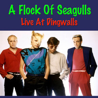 A Flock Of Seagulls - A Flock Of Seagulls Live At Dingwalls