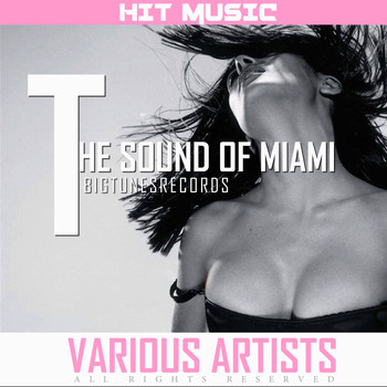 Various Artists - The Sound Of Miami
