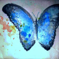 Media Luna - Blue Morpho