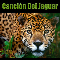 Jorge Reyes - Canción del Jaguar