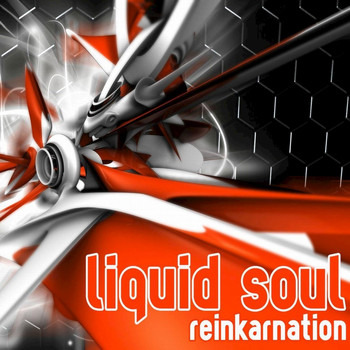 Liquid Soul - Reinkarnation