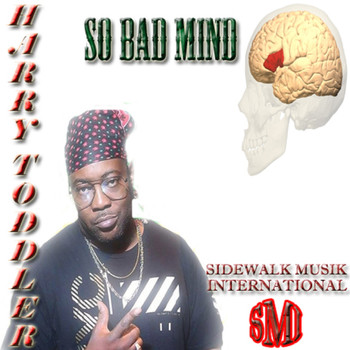 Harry Toddler - So Bad Mind