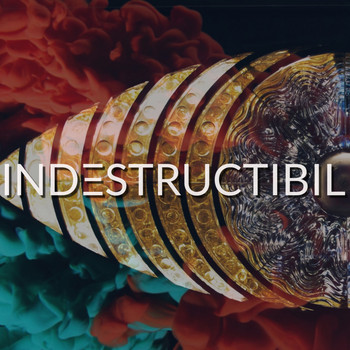 Phaser - Indestructibil