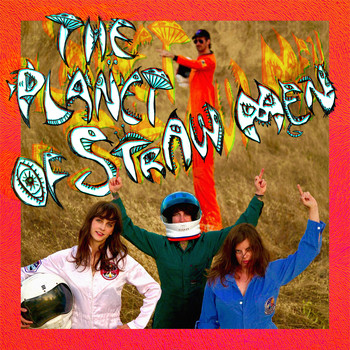Tropical Fuck Storm - The Planet of Straw Men