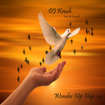 DJ Krush - Wonder Hip Hop Trap