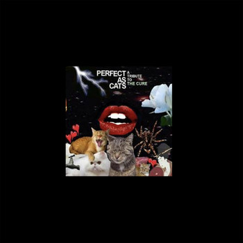 Bat For Lashes - A Forest