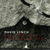 David Lynch - Are You Sure / Star Dream Girl