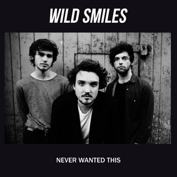 Wild Smiles - Never Wanted This