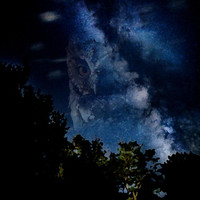 Haslam - Nocturne