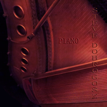 Steve Dobrogosz - Piano