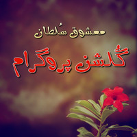 Mashooq Sultan - Gulshan Program