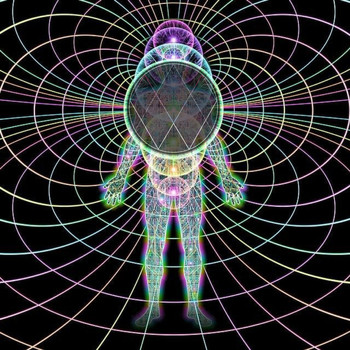 Wisdom - youniversal