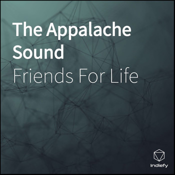 Friends for Life - The Appalache Sound