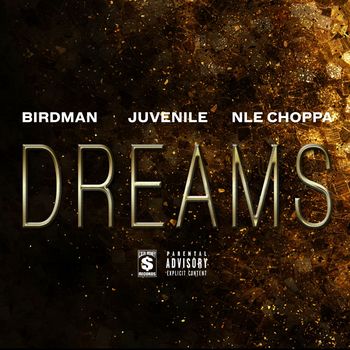 Birdman - Dreams (Explicit)