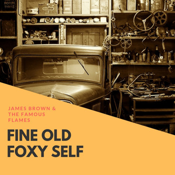 James Brown & The Famous Flames - Fine Old Foxy Self