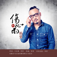 杨紫 - 伤心的雨