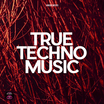 Various Artists - True Techno Music
