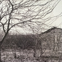 Bruno Masi - Sertão Marfim
