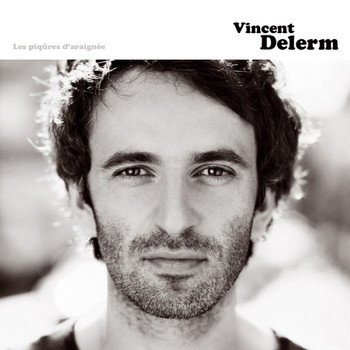 Vincent Delerm - Les piqûres d'araignée