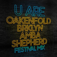 Paul Oakenfold - U Are (Festival Mix)