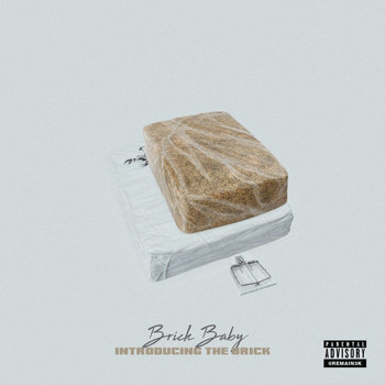 Brick Baby - Introducing the Brick (Explicit)