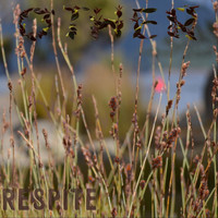 Other - Respite