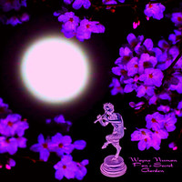 Wayne Numan - Pan's Secret Garden
