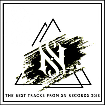 Various Artists - The Best Tracks From SN Records 2018