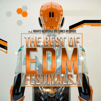 Various Artists - The Best Of EDM Festivals.1