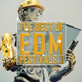 Various Artists - The Best Of EDM Festivals.3