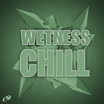 Various Artists - Wetness Chill, Vol.6