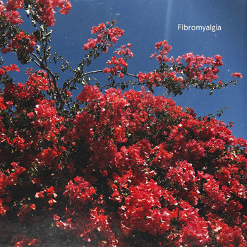ViVii - Fibromyalgia