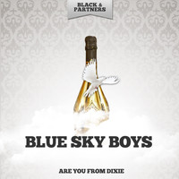 Blue Sky Boys - Are You From Dixie