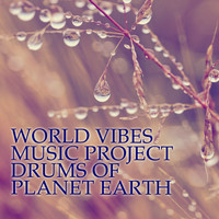 World Vibes Music Project - Drums of Planet Earth