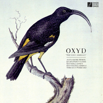 Oxyd - The Lost Animals