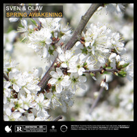 Sven & Olav - Spring Awakening